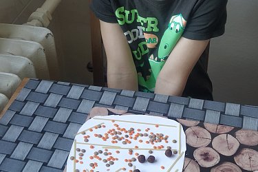 Obrázek č.46